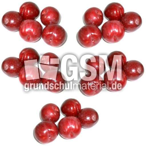 Pflaumen-5x5.jpg